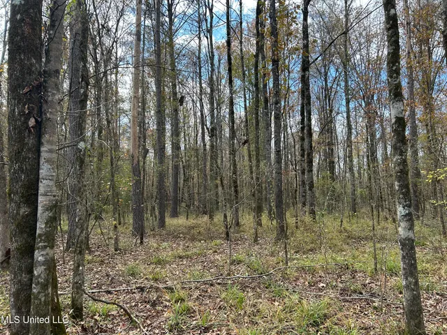 $399,900 | Coal Bluff Road, Lena, MS 39094