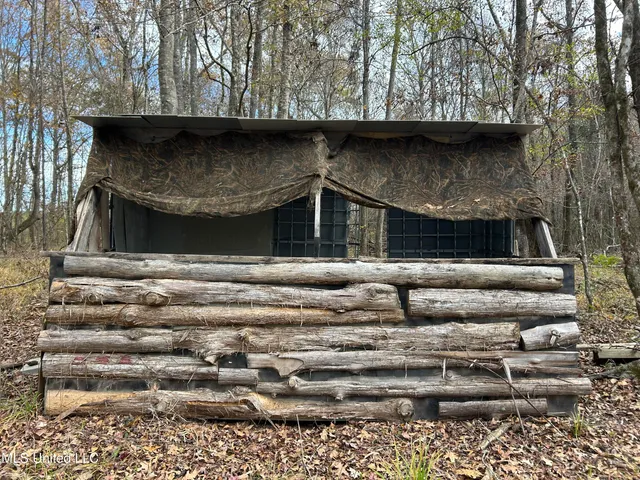 $399,900 | Coal Bluff Road, Lena, MS 39094