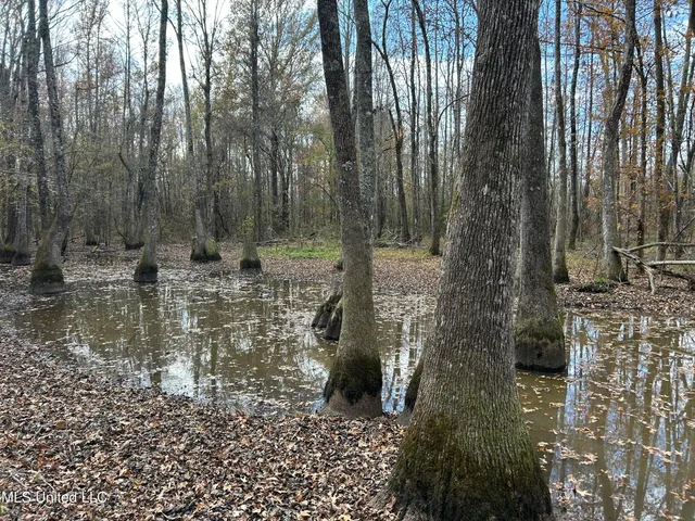 $399,900 | Coal Bluff Road, Lena, MS 39094