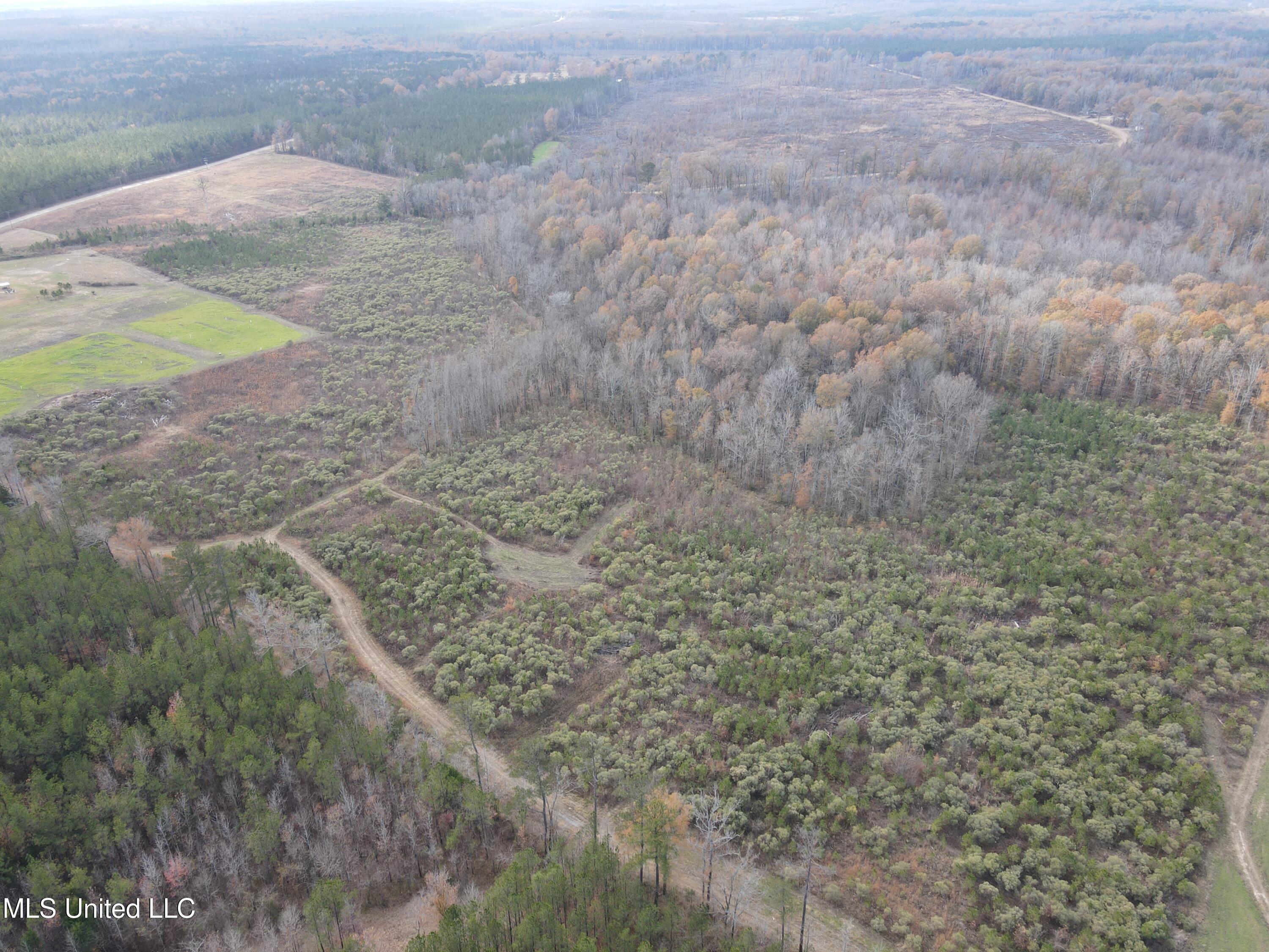 Coal Bluff Road Lena, MS 39094 - Photo 5 of 73 DJI_0798