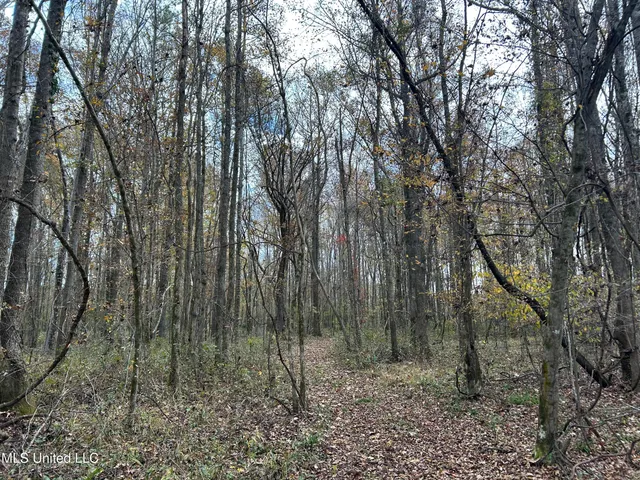 $399,900 | Coal Bluff Road, Lena, MS 39094