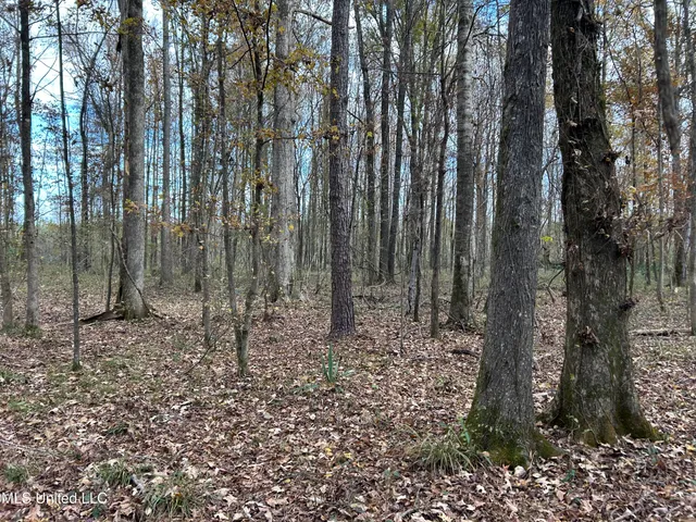 $399,900 | Coal Bluff Road, Lena, MS 39094