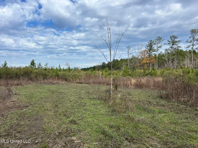 $399,900 | Coal Bluff Road, Lena, MS 39094