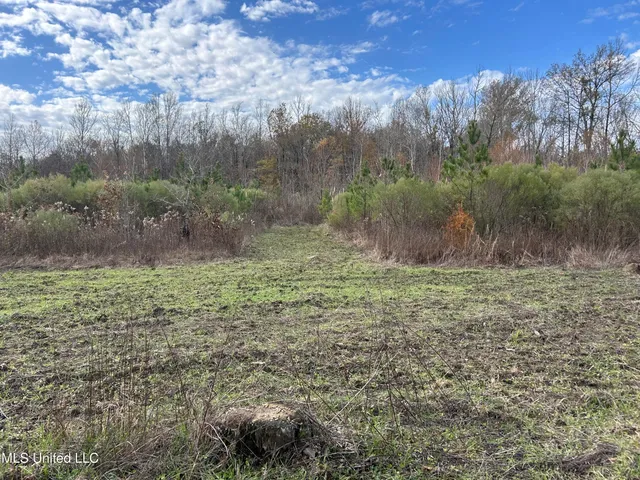 $399,900 | Coal Bluff Road, Lena, MS 39094