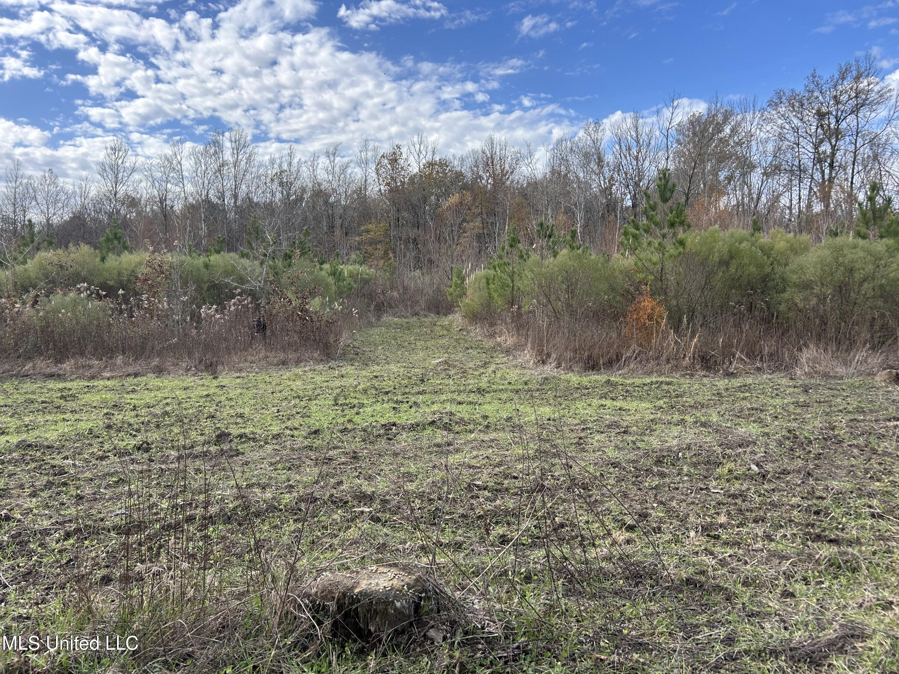 Coal Bluff Road Lena, MS 39094 - Photo 55 of 73 Photo Dec 14 2024, 11 55 07 AM