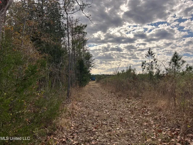 $399,900 | Coal Bluff Road, Lena, MS 39094