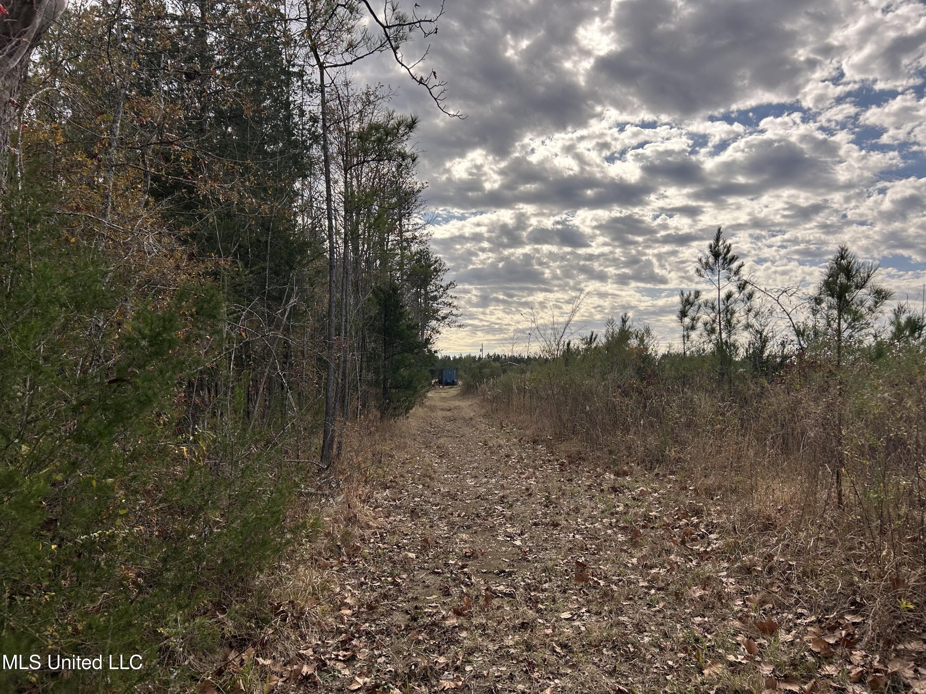 Coal Bluff Road Lena, MS 39094 - Photo 57 of 73 Photo Dec 14 2024, 11 57 24 AM