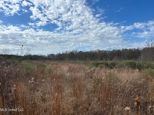 $399,900 | Coal Bluff Road, Lena, MS 39094
