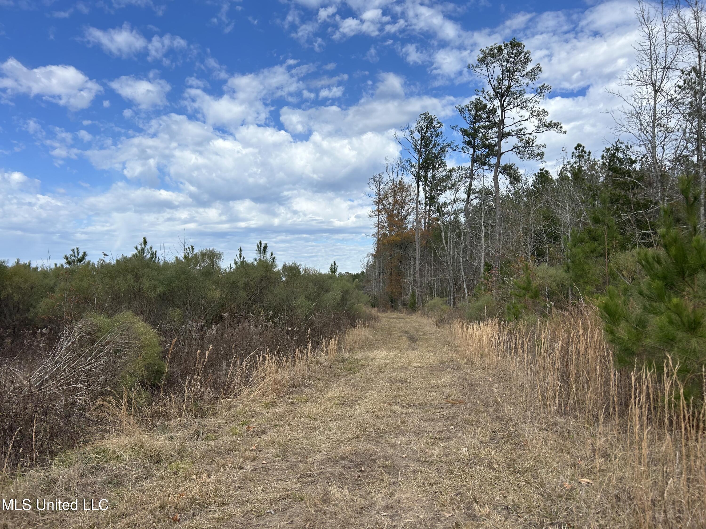 Coal Bluff Road Lena, MS 39094 - Photo 59 of 73 Photo Dec 14 2024, 11 59 38 AM
