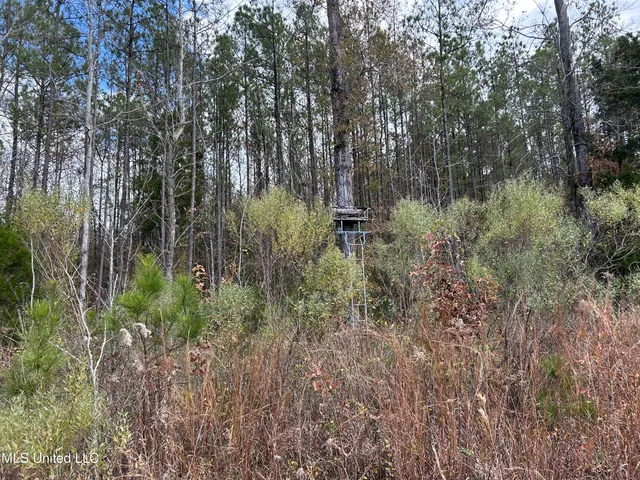 $399,900 | Coal Bluff Road, Lena, MS 39094