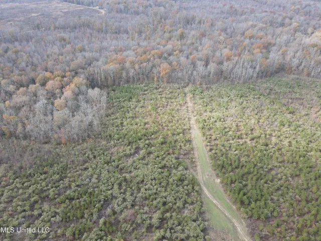 $399,900 | Coal Bluff Road, Lena, MS 39094