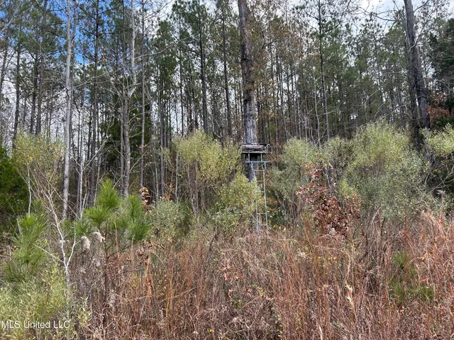$399,900 | Coal Bluff Road, Lena, MS 39094