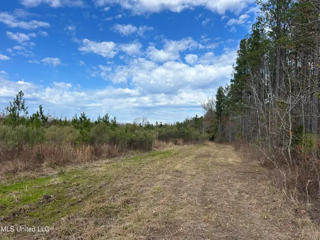 $399,900 | Coal Bluff Road, Lena, MS 39094