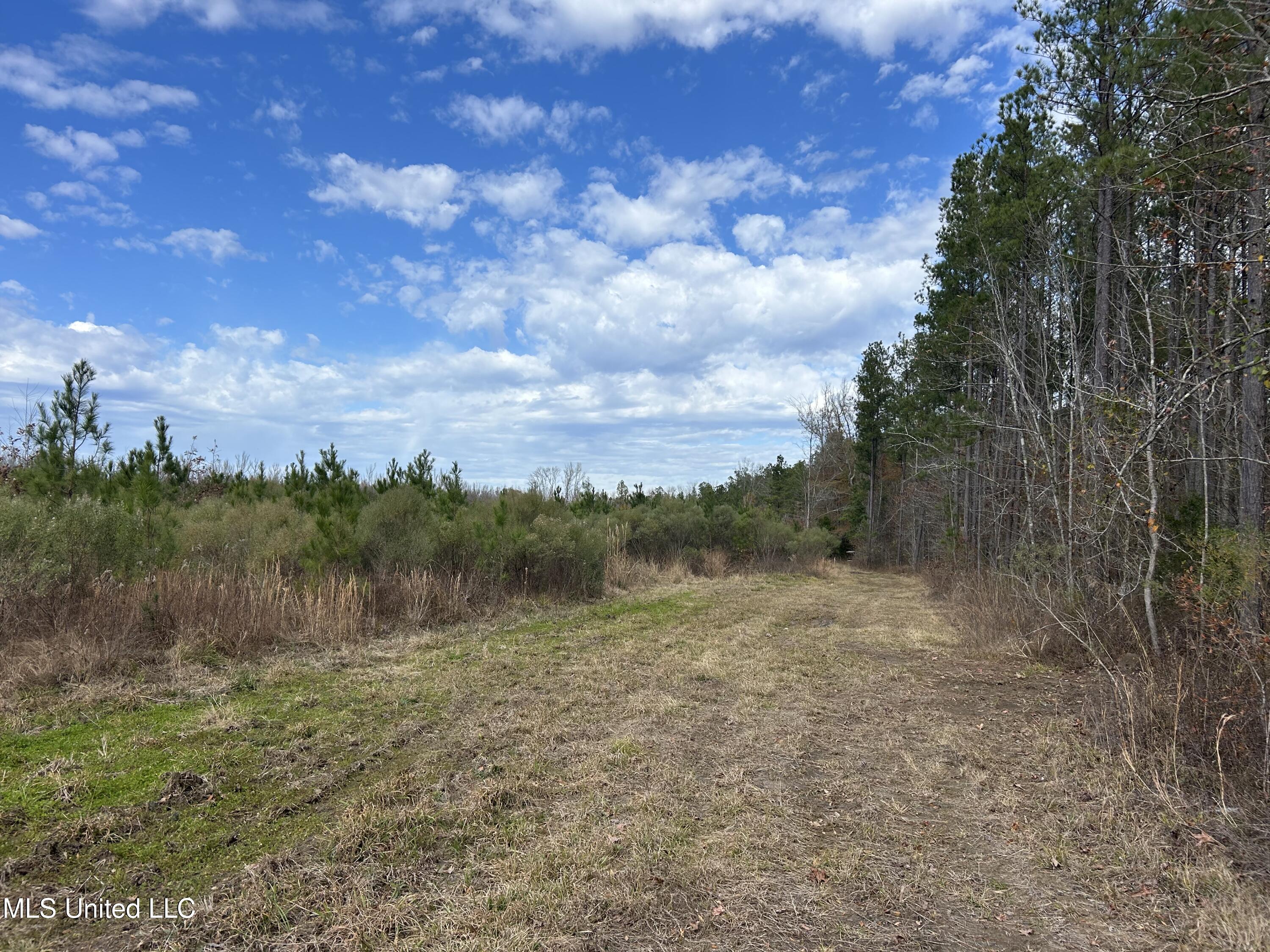 Coal Bluff Road Lena, MS 39094 - Photo 62 of 73 Photo Dec 14 2024, 12 00 59 PM