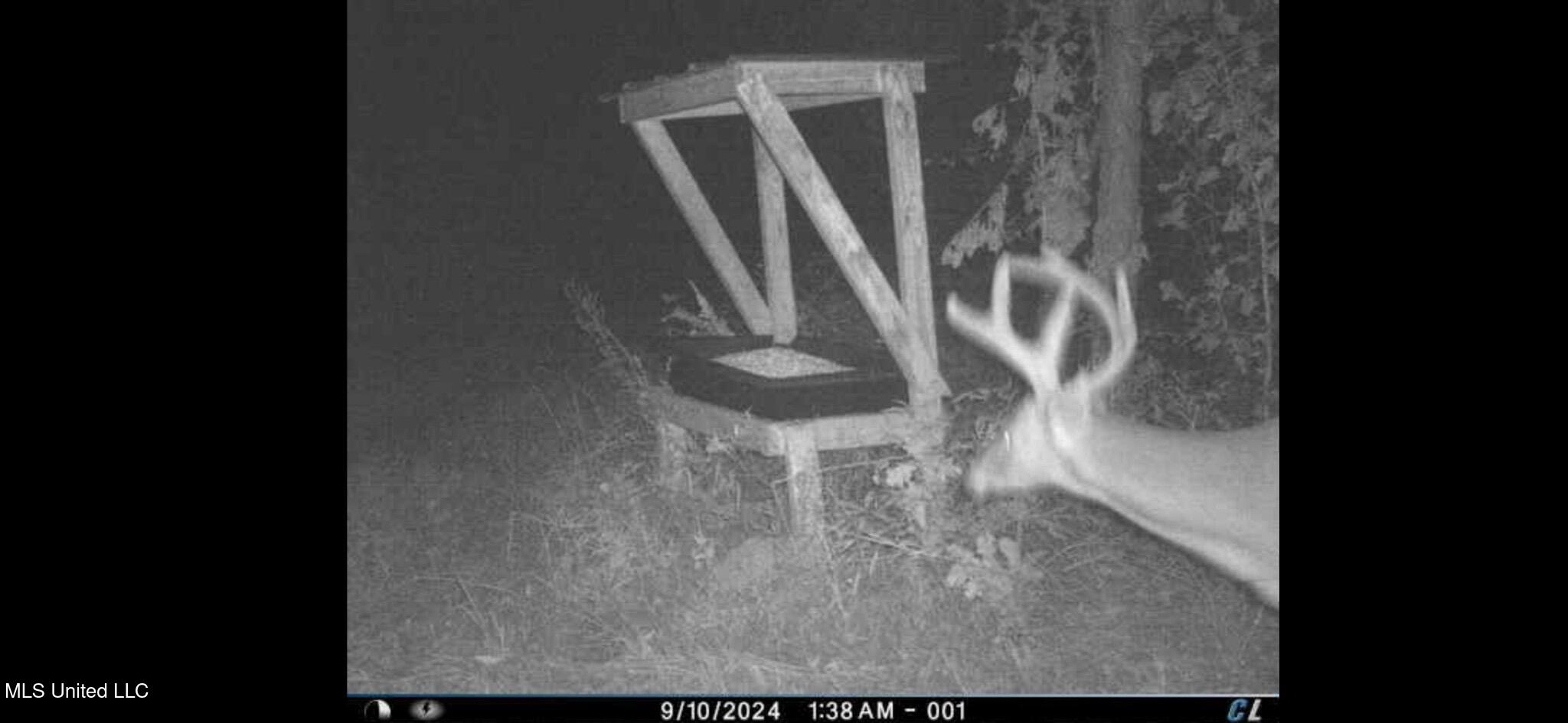 Coal Bluff Road Lena, MS 39094 - Photo 64 of 73 2759972156132414373