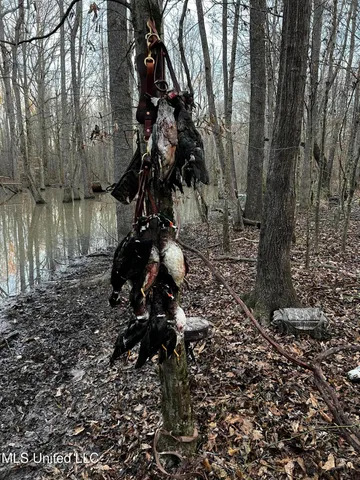 $399,900 | Coal Bluff Road, Lena, MS 39094