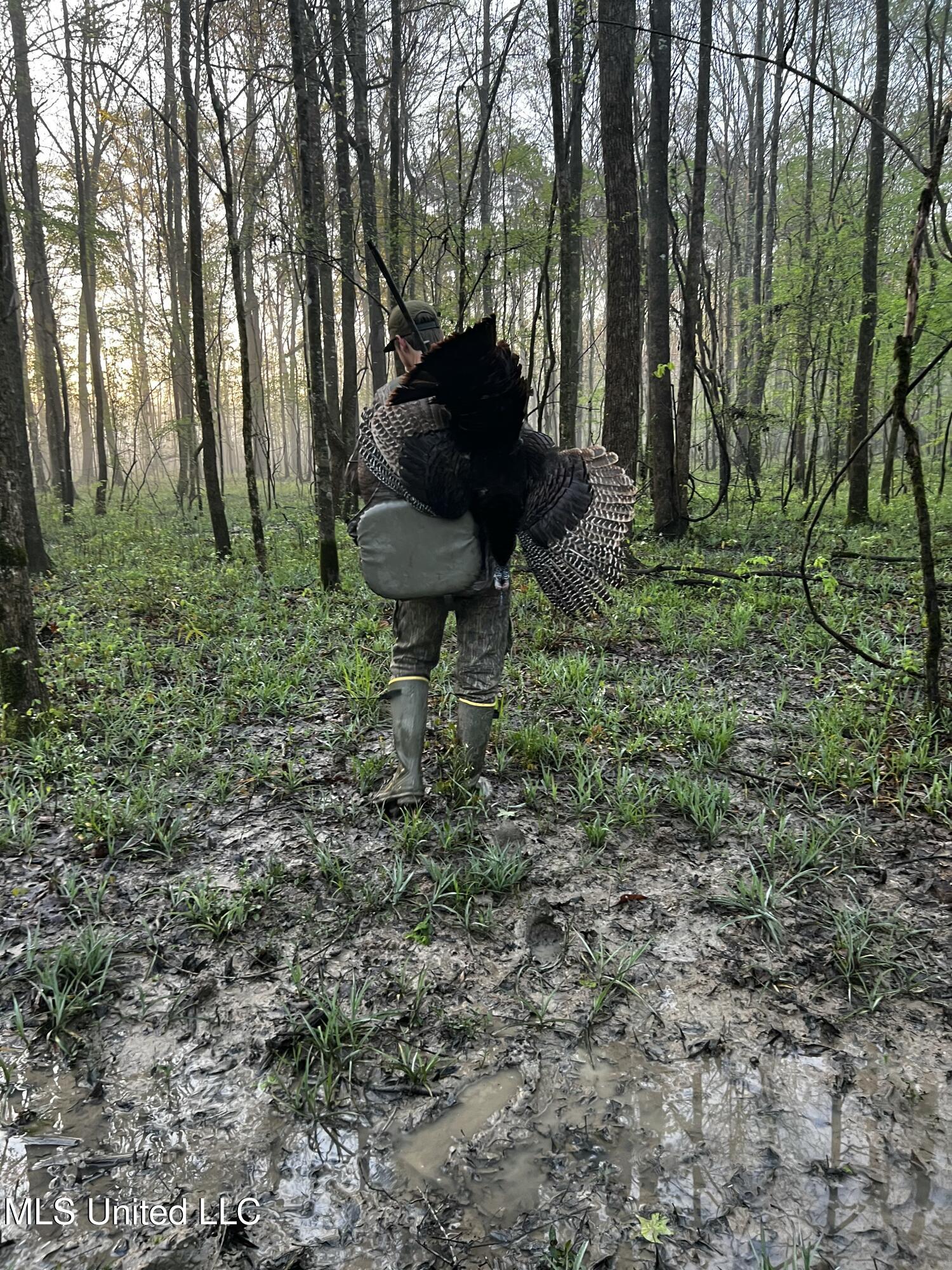Coal Bluff Road Lena, MS 39094 - Photo 67 of 73 IMG_3764
