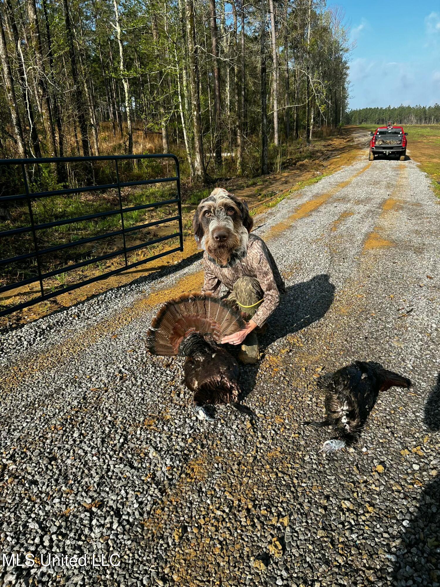 Coal Bluff Road Lena, MS 39094 - Photo 68 of 73 SIX_5BD6FEA9-3A32-4026-AD98-E67293FC4995