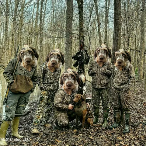 $399,900 | Coal Bluff Road, Lena, MS 39094