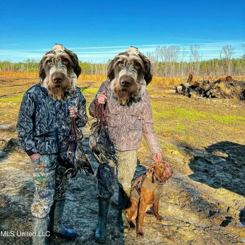 $399,900 | Coal Bluff Road, Lena, MS 39094