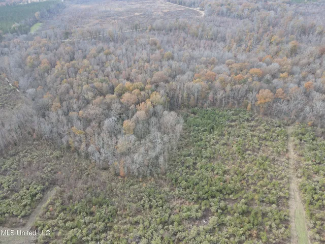 $399,900 | Coal Bluff Road, Lena, MS 39094