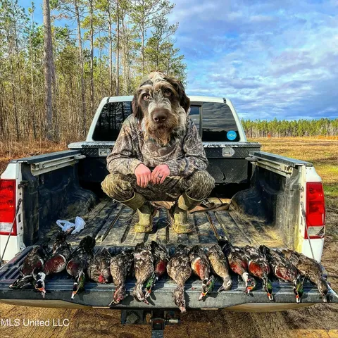 $399,900 | Coal Bluff Road, Lena, MS 39094