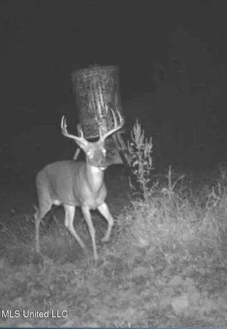 $399,900 | Coal Bluff Road, Lena, MS 39094