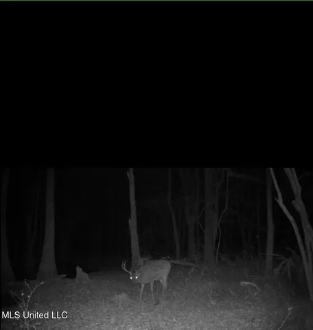 $399,900 | Coal Bluff Road, Lena, MS 39094