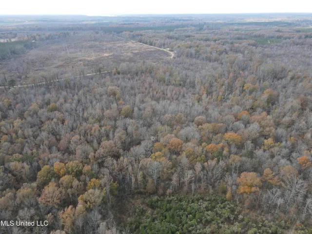 $399,900 | Coal Bluff Road, Lena, MS 39094