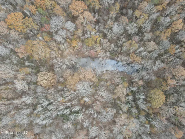 $399,900 | Coal Bluff Road, Lena, MS 39094