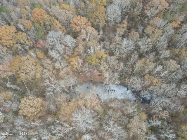 $399,900 | Coal Bluff Road, Lena, MS 39094
