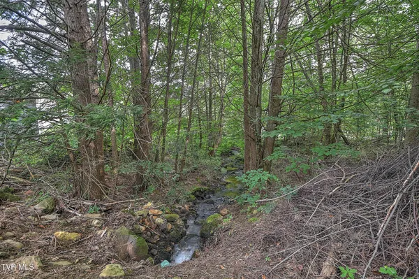 $705,000 | 122 Chase Drive, Roan Mountain, TN 37687