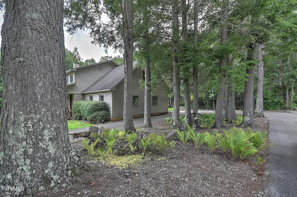 $705,000 | 122 Chase Drive, Roan Mountain, TN 37687