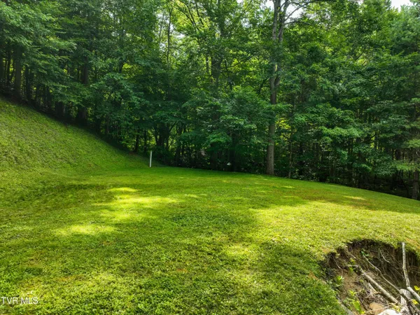 $705,000 | 122 Chase Drive, Roan Mountain, TN 37687