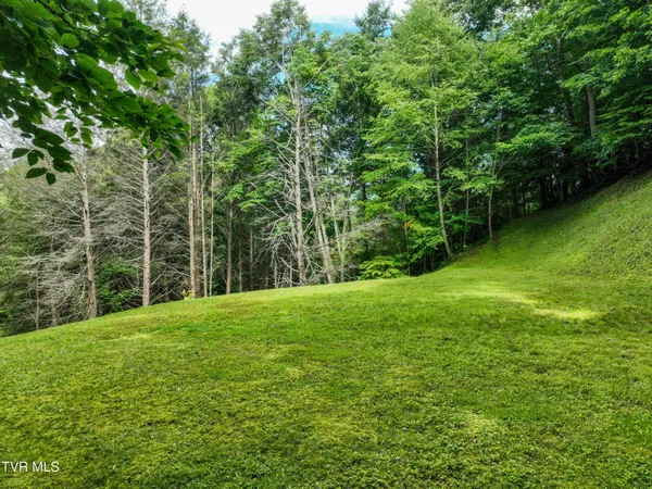 $705,000 | 122 Chase Drive, Roan Mountain, TN 37687