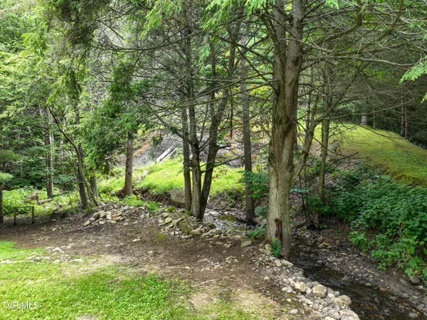 $705,000 | 122 Chase Drive, Roan Mountain, TN 37687