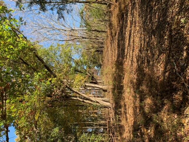 0 Bramlett Road Moneta, VA 24121 - Photo 1 of 15 Main photo