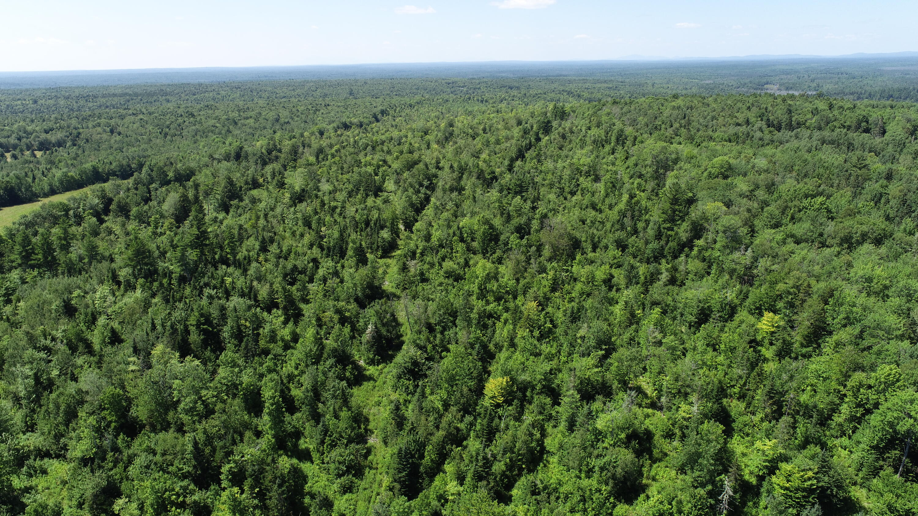 1694 U.S. Rte 1 Orient, ME 04471 - Photo 47 of 58 DJI_0112