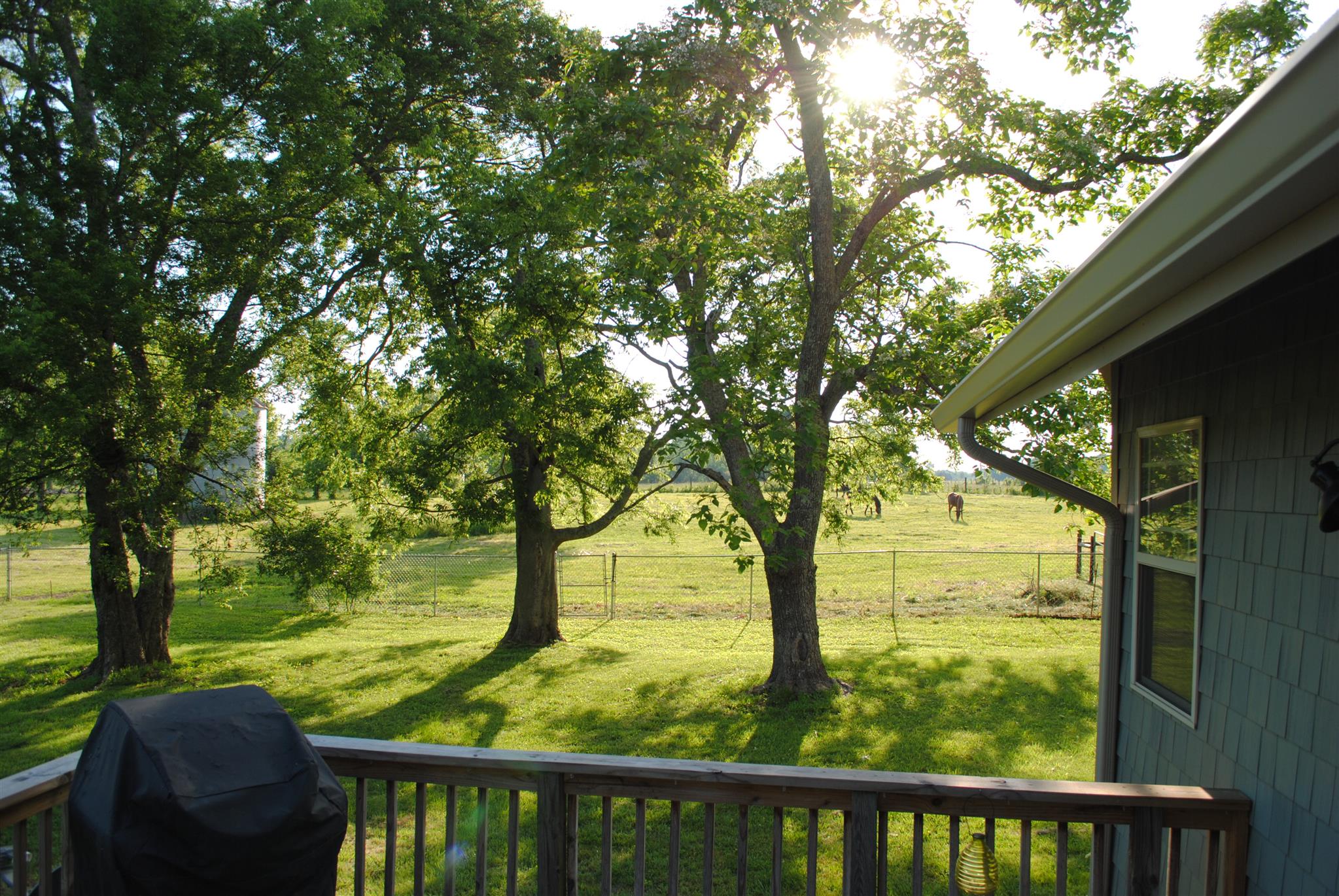 2849 Liberty Valley Road Lewisburg, TN 37091 - Photo 7 of 29 Gallery Image 7