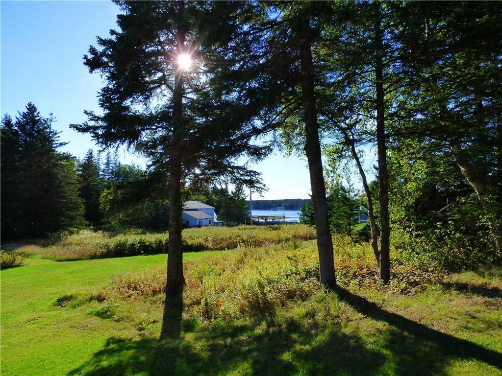 6 Lobster Pound Road Tenants Harbor, ME 04860 - Photo 7 of 40 view through trees
