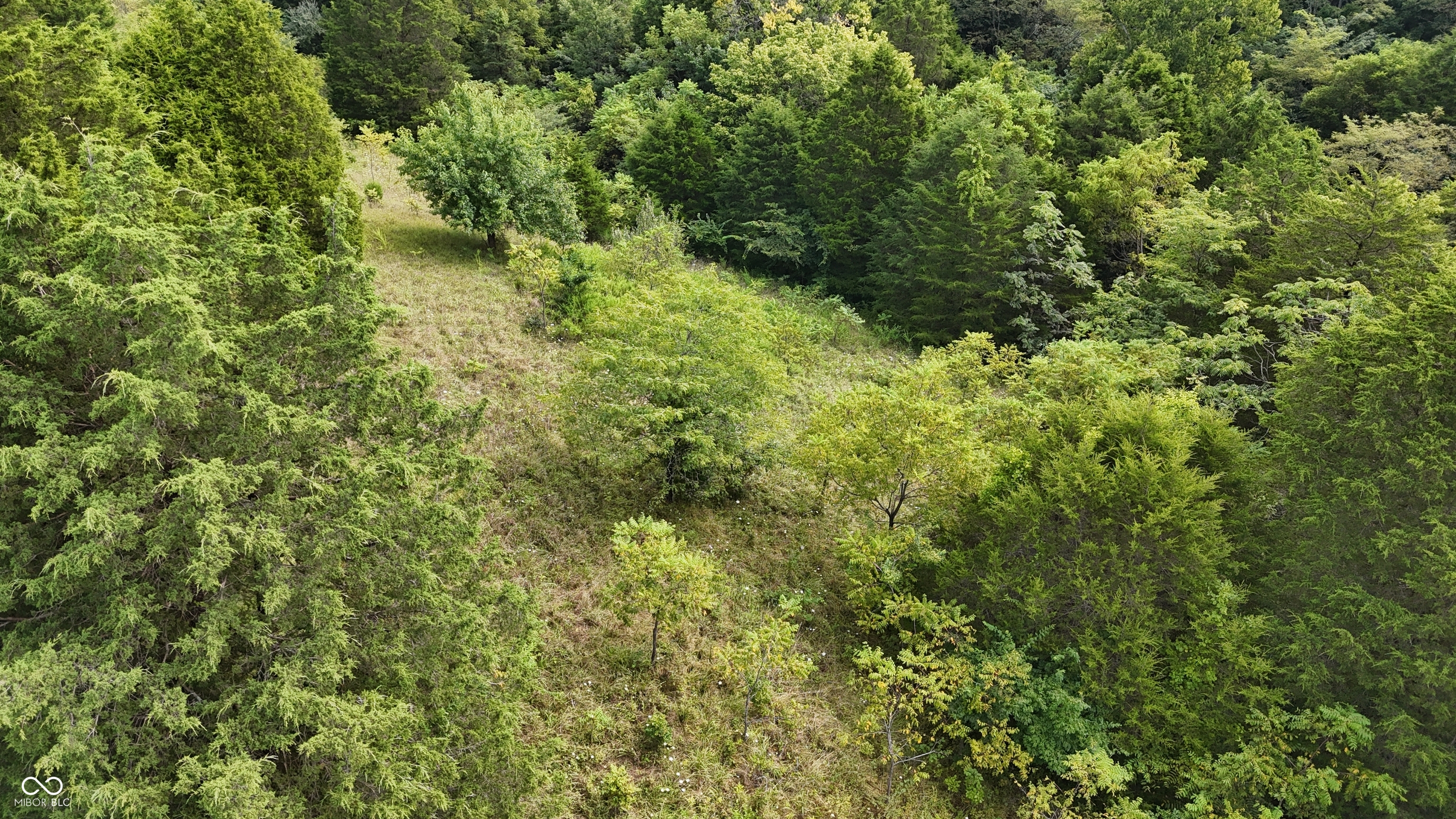 10372 Dugan Road Vevay, IN 47043 - Photo 63 of 79 Gallery Image 63