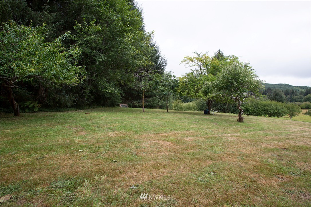 53 Primo Road Cosmopolis, WA 98537 - Photo 18 of 25 Gallery Image 18