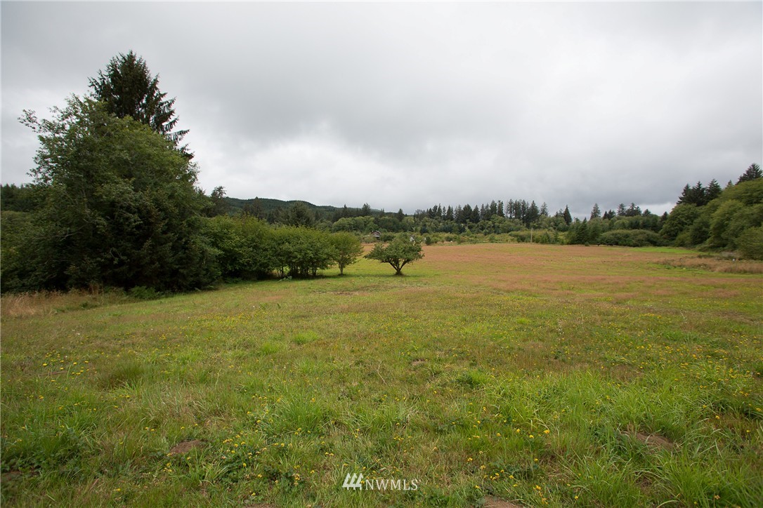 53 Primo Road Cosmopolis, WA 98537 - Photo 19 of 25 Gallery Image 19