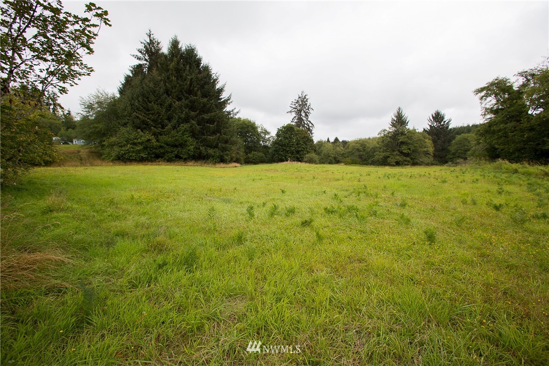 53 Primo Road Cosmopolis, WA 98537 - Photo 21 of 25 Gallery Image 21