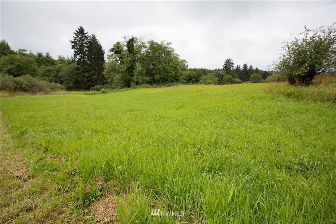 53 Primo Road Cosmopolis, WA 98537 - Photo 23 of 25 Gallery Image 23