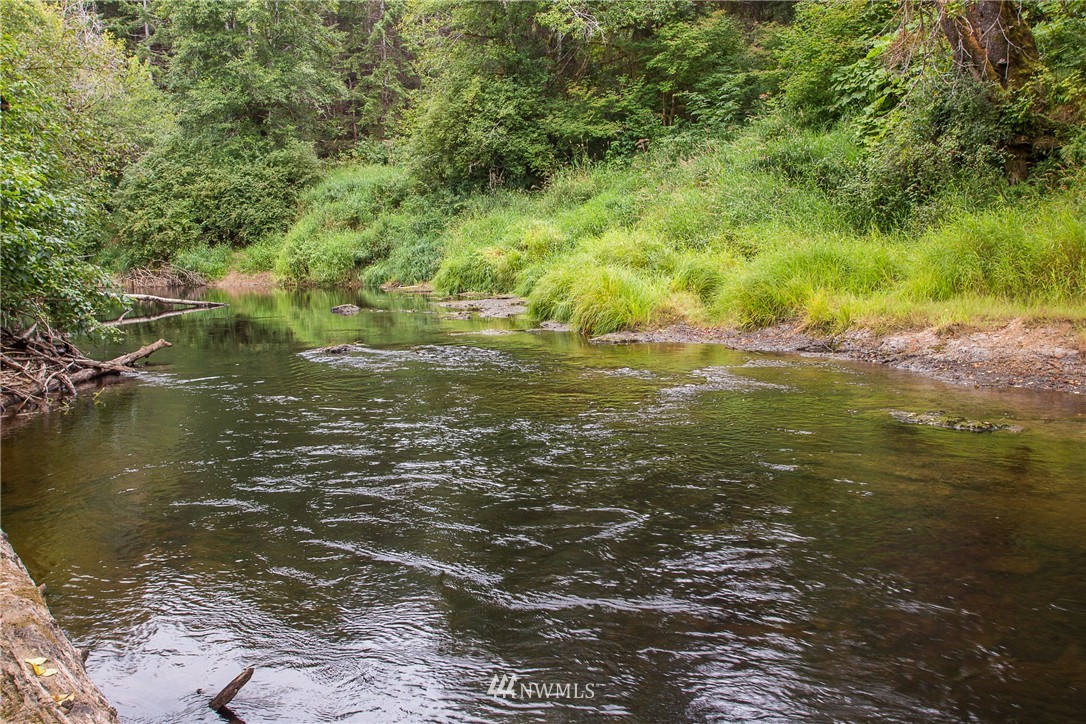 53 Primo Road Cosmopolis, WA 98537 - Photo 24 of 25 Gallery Image 24