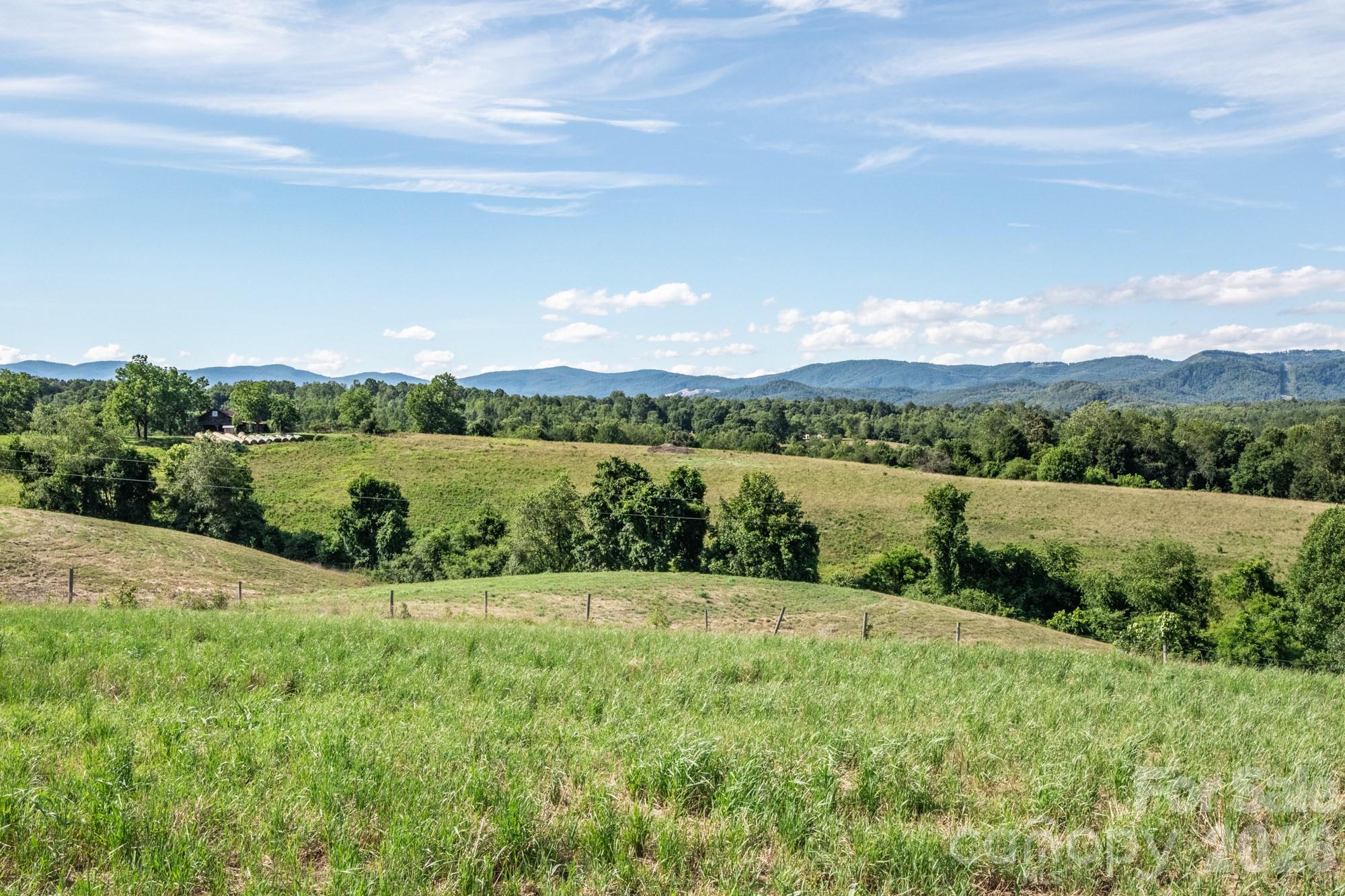 1779 Roundhill Church Road Traphill, NC 28685 - Photo 15 of 42