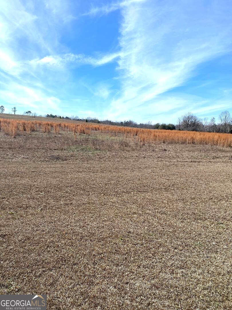 0 Mill Creek Road Bartow, GA 30413 - Photo 3 of 4