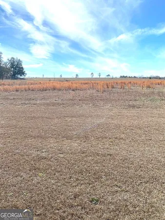 a view of beach and ocean