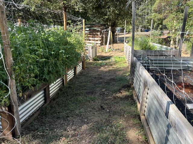 240 Senger Road Junction City, CA 96048 - Photo 56 of 73 garden